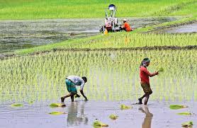 সংকট মোকাবিলায় গ্রামীন কর্মসংস্থানই হতে হবে অর্থনীতির মূল্ভিত্তি